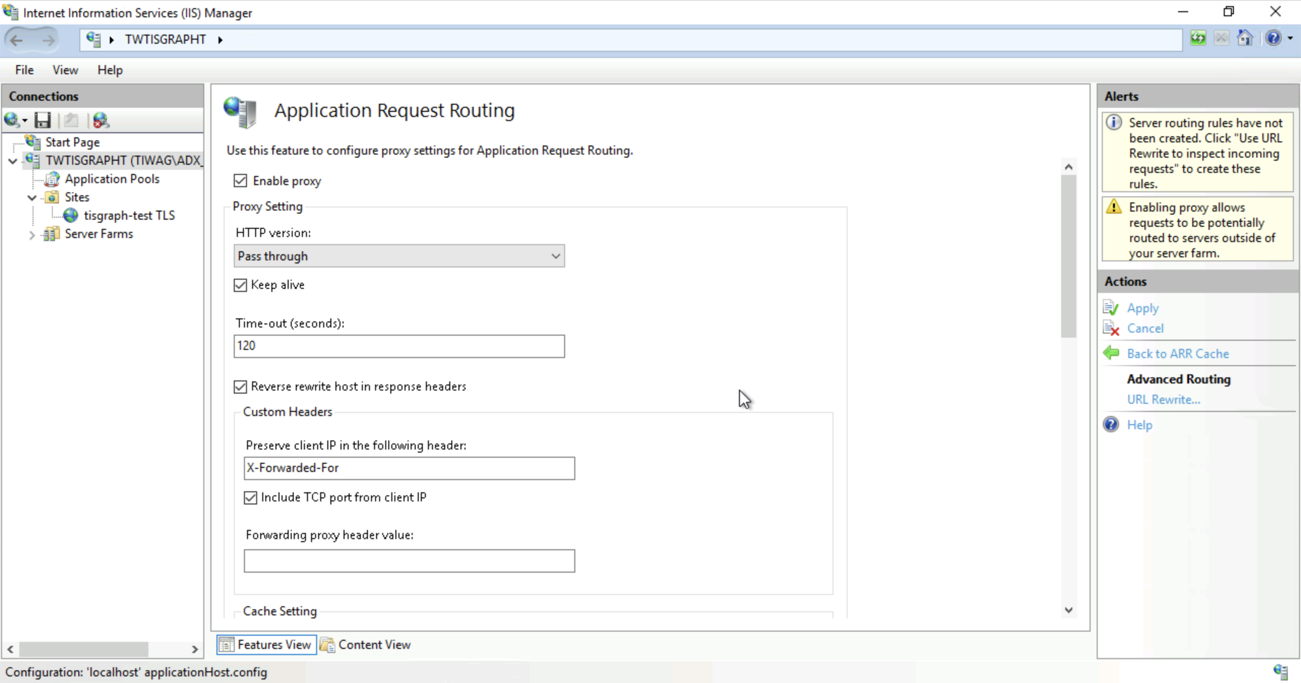 Reverse Proxy Activation in IIS